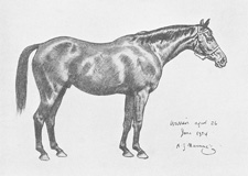 Munnings’s second study of Warrior